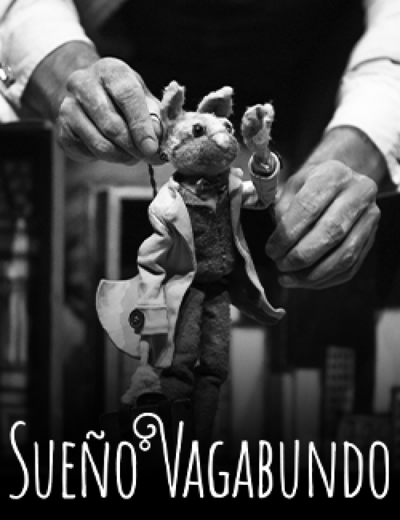 SUEÑO VAGABUNDO