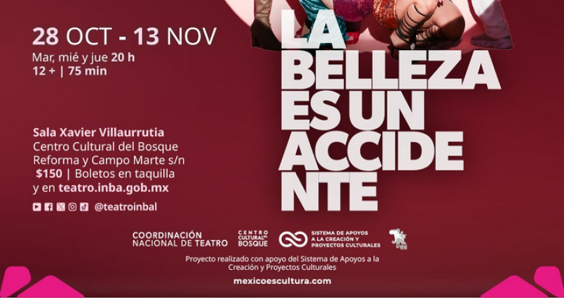 LA BELLEZA ES UN ACCIDENTE