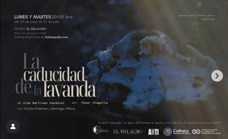 La caducidad de la lavanda