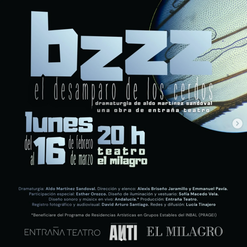 El desamparo de los cerdos