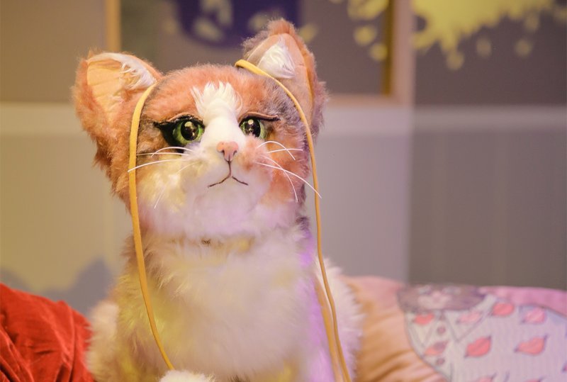 Cati, Catalina, Calicó, o la maravillosa vida de la niña gato