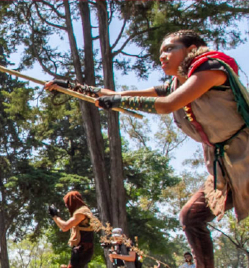 LA LEYENDA DE ROBIN HOOD