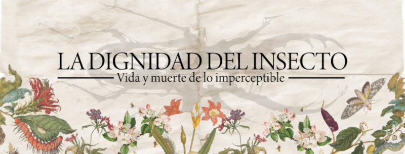 LA DIGNIDAD DEL INSECTO: VIDA Y MUERTE DE LO IMPERCEPTIBLE