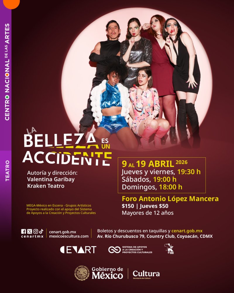 LA BELLEZA ES UN ACCIDENTE